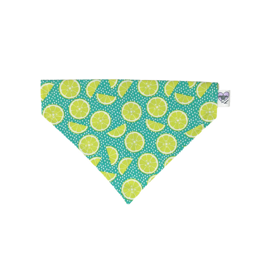 A Twist of Lime - Dog Bandana