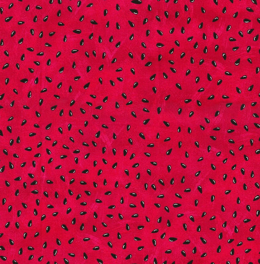 Watermelon Seeds -  Dog Bandana