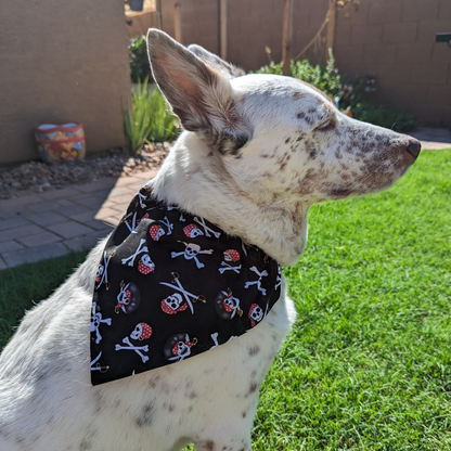 Pirate's Life - Dog Bandana