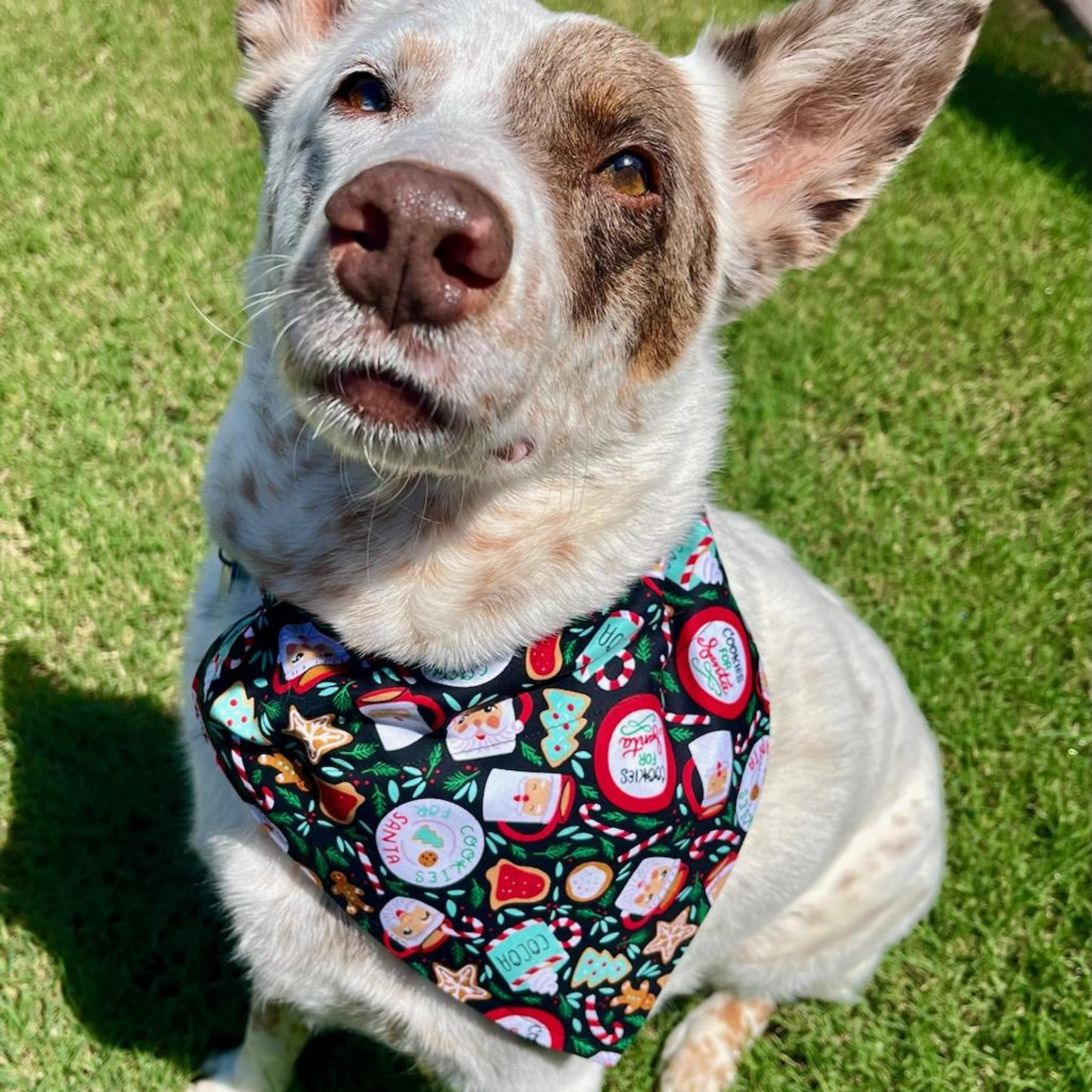 Santa's Cookies -  Dog Bandana