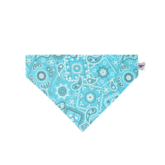 Classic Teal -  Dog Bandana