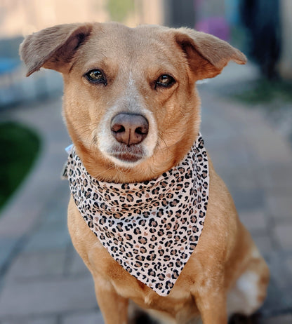 Premium Leopard Print - Dog Bandana